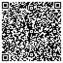 QR code with Central Valley Pool contacts