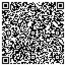 QR code with Clinton Nurseries Inc contacts