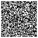 QR code with Puls Communications contacts