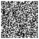 QR code with Blue Mechanical contacts