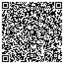 QR code with Colesville Bp contacts