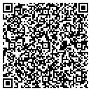 QR code with Pro 1 Mechanical contacts