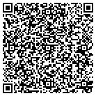 QR code with Pulaski Highway Citgo contacts