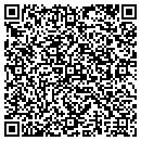 QR code with Professional Tailor contacts