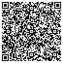 QR code with Cyber Bus LLC contacts