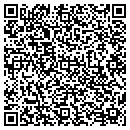 QR code with Cry Wolfe Roofing Inc contacts