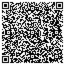 QR code with Premier Payment Inc contacts