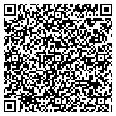 QR code with Precision Structures contacts