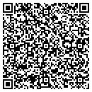 QR code with Professional Permits contacts