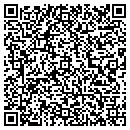 QR code with Ps Wolf Media contacts