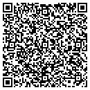 QR code with Public Multimedia Inc contacts