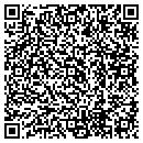 QR code with Premier Image Realty contacts