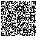 QR code with Vasy contacts