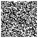 QR code with Public Storage contacts