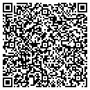QR code with Punch List Inc , contacts