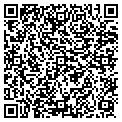 QR code with R P M's contacts