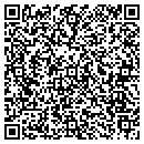 QR code with Cester Cty Art Assoc contacts