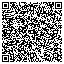 QR code with Public Access contacts