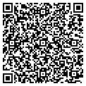 QR code with Tesoro contacts