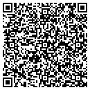 QR code with Carl A Nelson And Co contacts