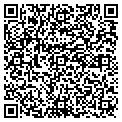 QR code with B-Line contacts