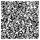 QR code with Chevron Express 133 Inc contacts