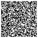 QR code with Cibulski Construction contacts