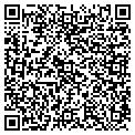 QR code with P Bp contacts