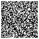 QR code with Process Analytics contacts