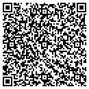 QR code with Blueframe Group LLC contacts