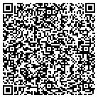 QR code with Terminis Gutter Service contacts