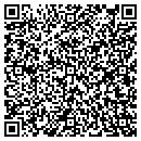 QR code with Blamires & Sons Inc contacts