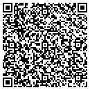 QR code with Public Media Connect contacts