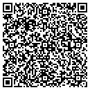 QR code with Carter Construction contacts