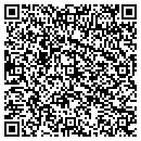 QR code with Pyramed Group contacts