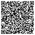 QR code with Island contacts