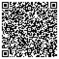 QR code with Gns contacts