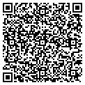 QR code with Solvay contacts