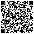 QR code with W Ford contacts