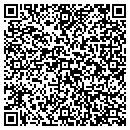 QR code with Cinnaminson Riggins contacts