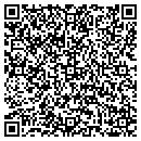 QR code with Pyramid Roofing contacts