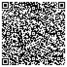 QR code with Pvs-Nolwood Chemicals Inc contacts