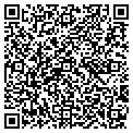 QR code with Nebula contacts