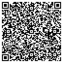QR code with Publication Disb Net contacts