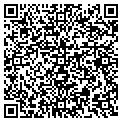 QR code with Scapes contacts