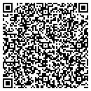 QR code with Cochemical Corporation contacts