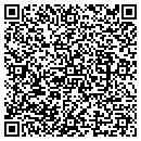 QR code with Brians Lawn Service contacts
