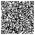 QR code with New Sky Studio contacts