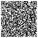 QR code with Y M Painting contacts