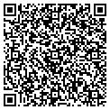 QR code with Studio contacts